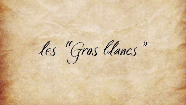 Les &lsquo;Gros blancs&rsquo;: Les maîtres des plantations et du pouvoir